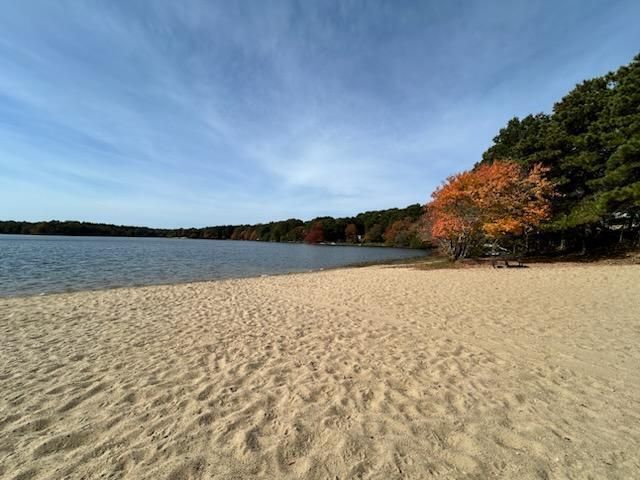 590 Sandwich Road, Teaticket, MA 02536