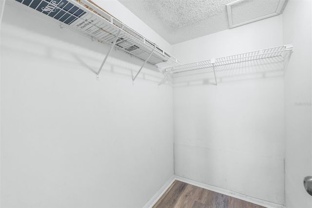 1000 TARPON WOODS BOULEVARD 503, Palm Harbor, FL 34685