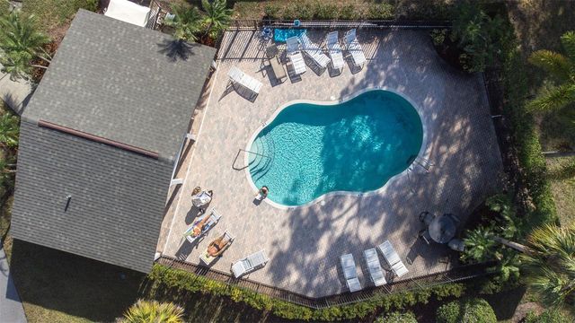 1000 TARPON WOODS BOULEVARD 503, Palm Harbor, FL 34685