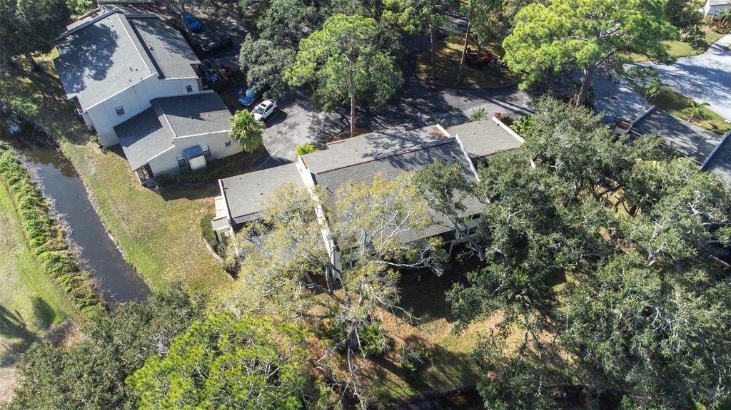 Image 54 of property listing at 1000 TARPON WOODS BOULEVARD 503, Palm Harbor, FL 34685