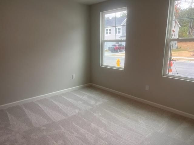 217 Ivy Vine Way, Raleigh, NC 27610