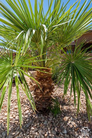 2863 W 625 N, Hurricane, UT 84737