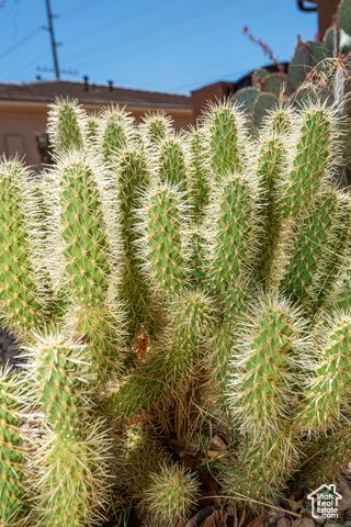 2863 W 625 N, Hurricane, UT 84737