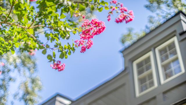 108 Lakeview Drive, Summerville, SC 29485