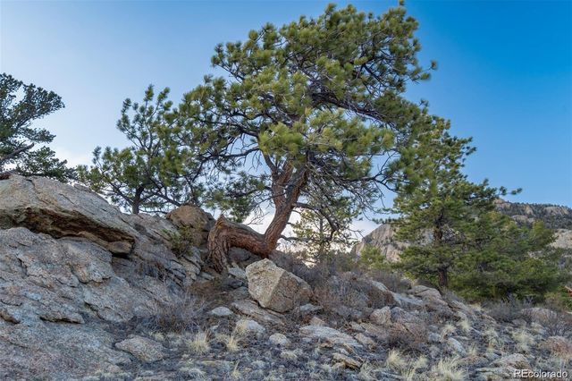 688 Tiara Road, Lake George, CO 80827