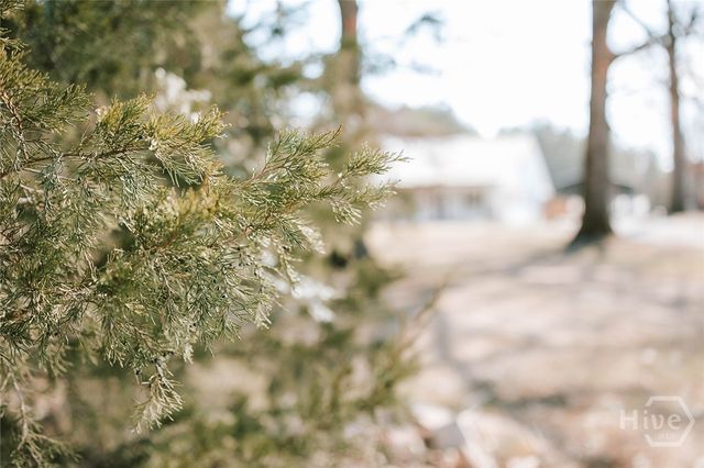 716 Stevens Grove Church Road, Lexington, GA 30648