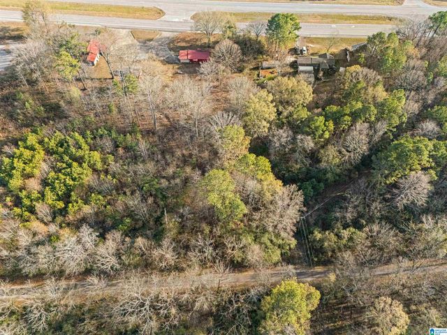 4243 N ALABAMA HIGHWAY 21, Jacksonville, AL 36265