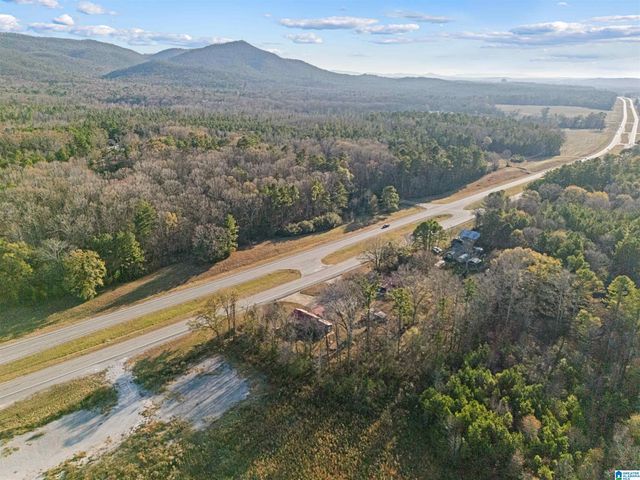 4243 N ALABAMA HIGHWAY 21, Jacksonville, AL 36265