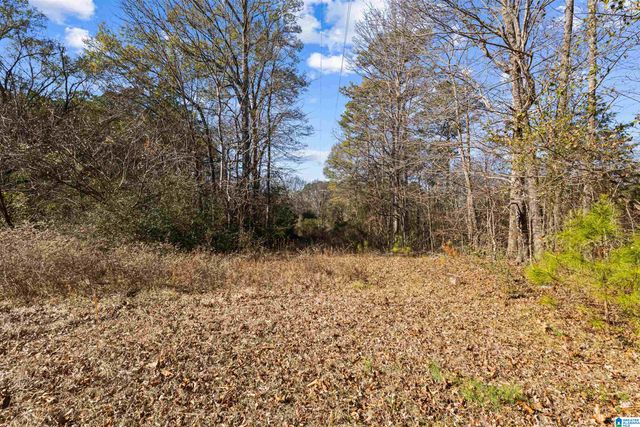 4243 N ALABAMA HIGHWAY 21, Jacksonville, AL 36265