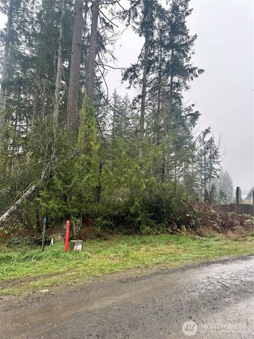 0 xxx E Wheelwright Street N, Allyn, WA 98524