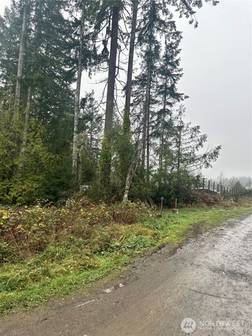 0 xxx E Wheelwright Street N, Allyn, WA 98524