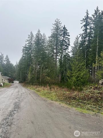 0 xxx E Wheelwright Street N, Allyn, WA 98524