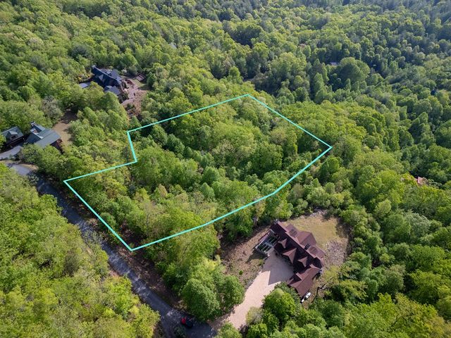 Lot 211 Catawba Drive, Mineral Bluff, GA 30559