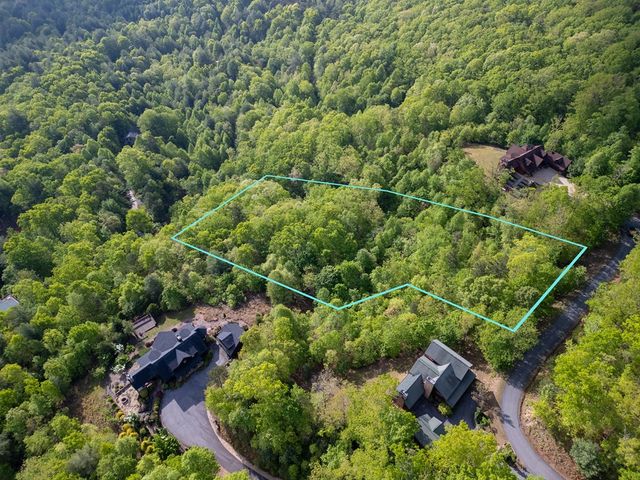 Lot 211 Catawba Drive, Mineral Bluff, GA 30559