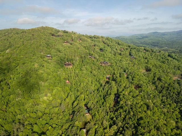 Lot 211 Catawba Drive, Mineral Bluff, GA 30559