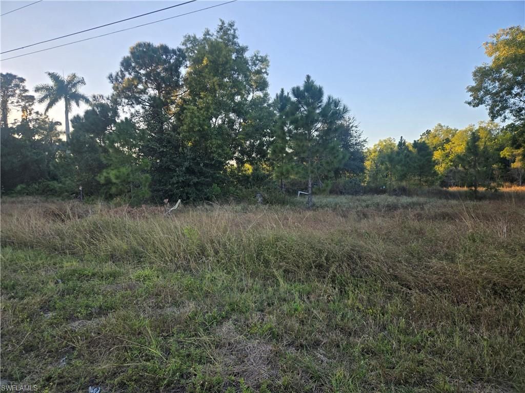 521 Denbigshire ST, LEHIGH ACRES, FL 33974 — exterior