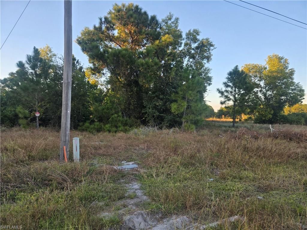 521 Denbigshire ST, LEHIGH ACRES, FL 33974 — photo 2