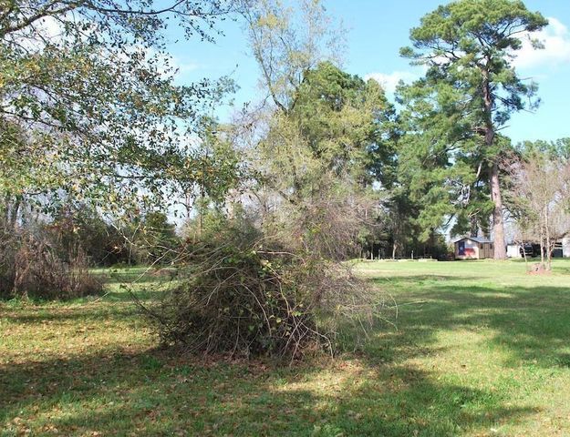 0 E Oak Ridge Drive, Point Blank, TX 77364