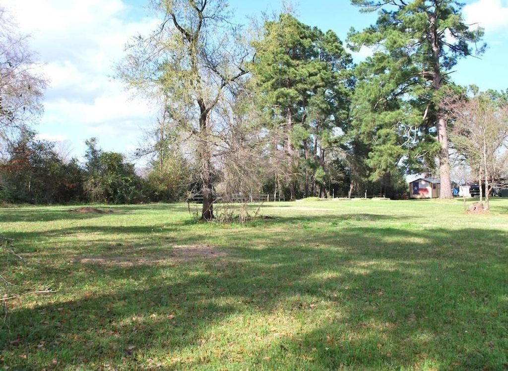 0 E Oak Ridge Drive, Point Blank, TX 77364
