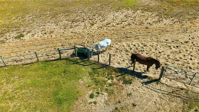 11714 FLYNN COURT, Winter Garden, FL 34787