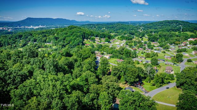 301 Larkspur Drive, Kingsport, TN 37660