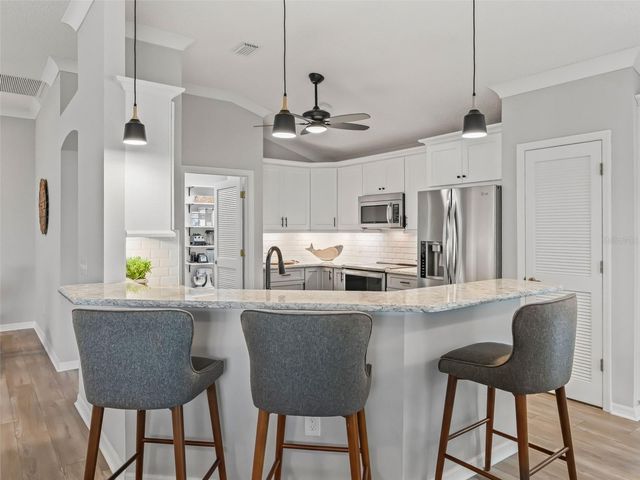 1731 TOWNSEND TERRACE, The Villages, FL 32162