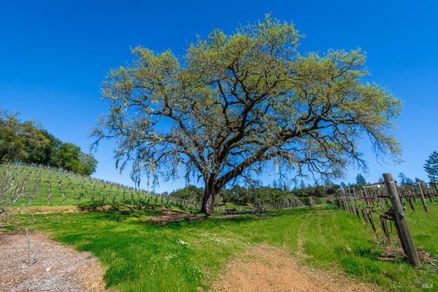 18345 Highway 128, Calistoga, CA 94515