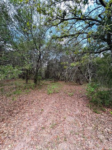 50 Acres Dunlavy, Cat Spring, TX 78933