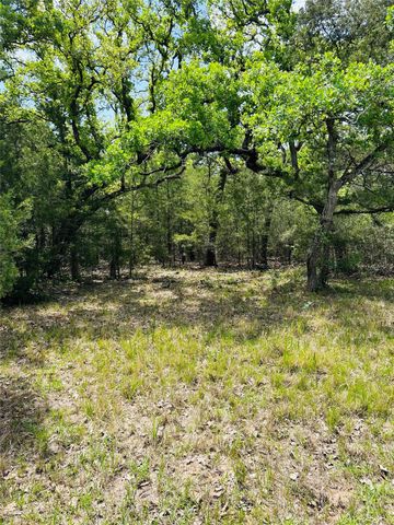 50 Acres Dunlavy, Cat Spring, TX 78933