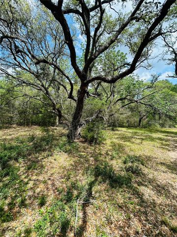50 Acres Dunlavy, Cat Spring, TX 78933