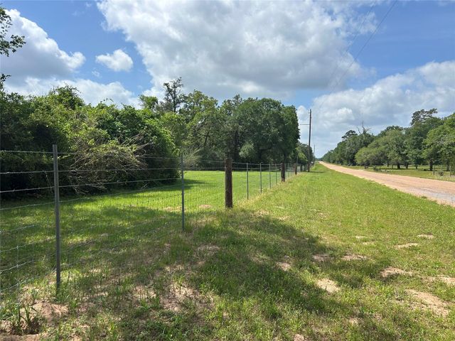 50 Acres Dunlavy, Cat Spring, TX 78933
