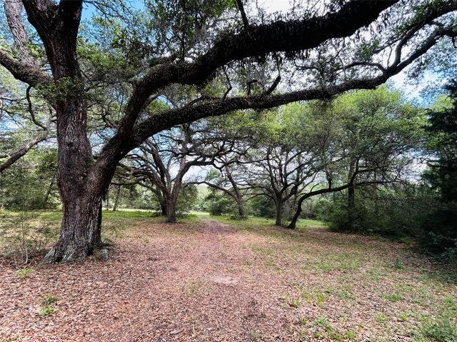 50 Acres Dunlavy, Cat Spring, TX 78933