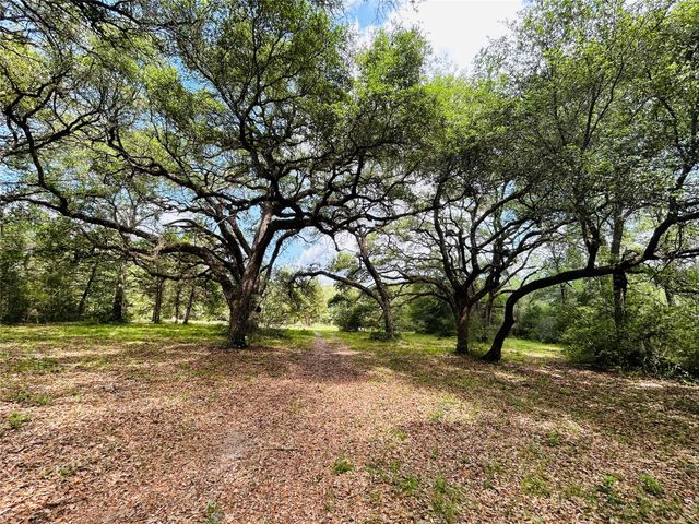 50 Acres Dunlavy, Cat Spring, TX 78933