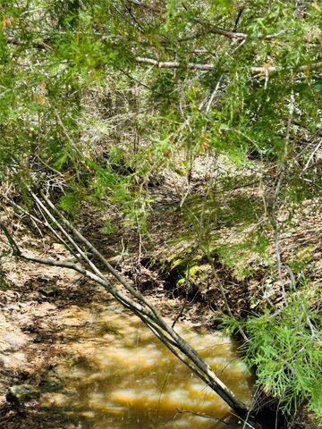 50 Acres Dunlavy, Cat Spring, TX 78933