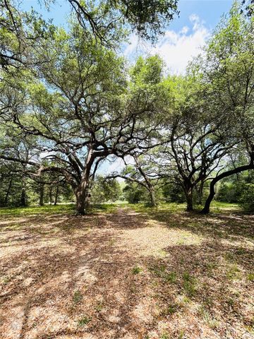 50 Acres Dunlavy, Cat Spring, TX 78933