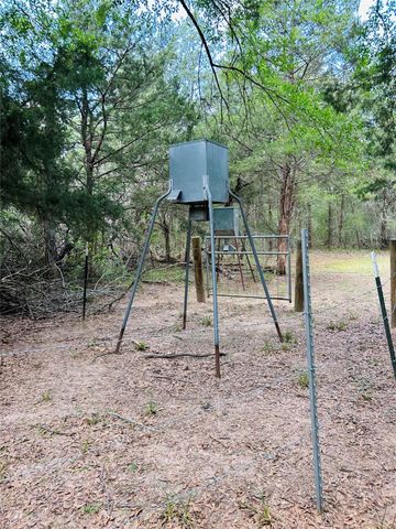 50 Acres Dunlavy, Cat Spring, TX 78933