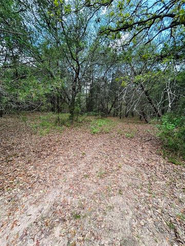 50 Acres Dunlavy, Cat Spring, TX 78933