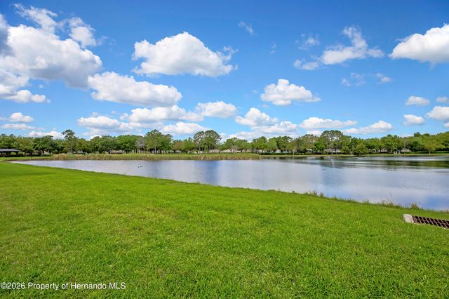 19863 Tattnall Way, Brooksville, FL 34601