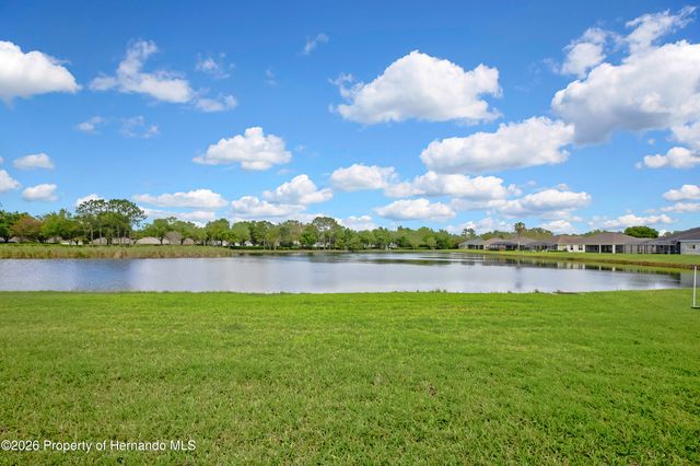 19863 Tattnall Way, Brooksville, FL 34601