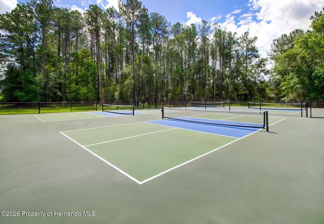 19863 Tattnall Way, Brooksville, FL 34601