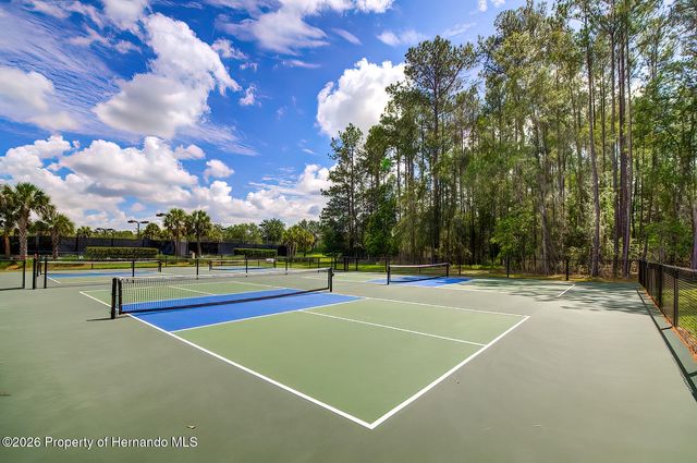 19863 Tattnall Way, Brooksville, FL 34601