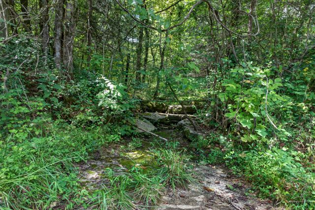 0 Wilmouth Creek Rd, Liberty, TN 37095
