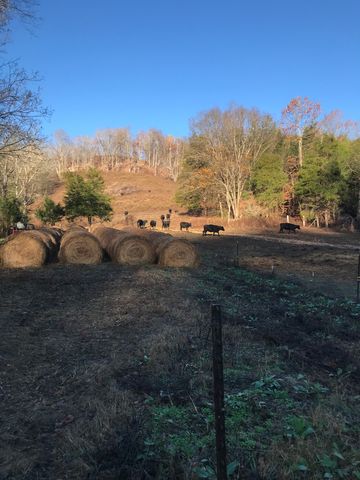 0 Wilmouth Creek Rd, Liberty, TN 37095