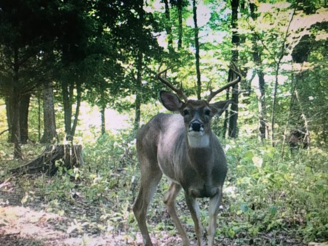 0 Wilmouth Creek Rd, Liberty, TN 37095