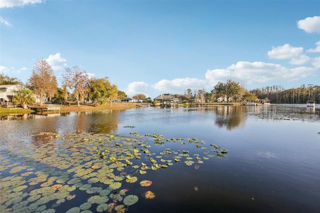 3120 PINE SHADOW DRIVE, Land O Lakes, FL 34639