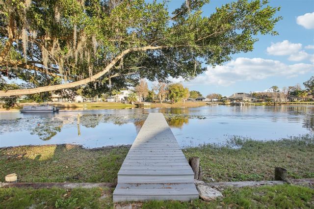 3120 PINE SHADOW DRIVE, Land O Lakes, FL 34639