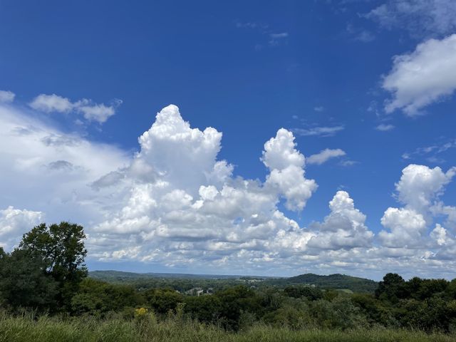 0 Deer Ridge Road, Columbia, TN 38401