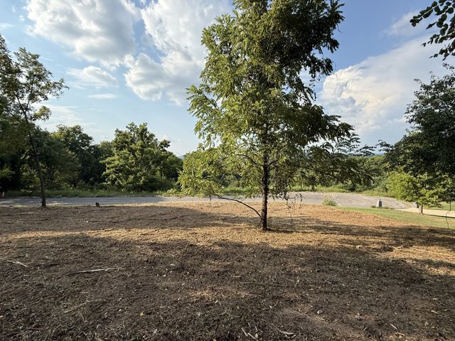 0 Deer Ridge Road, Columbia, TN 38401