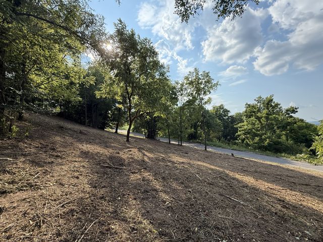 0 Deer Ridge Road, Columbia, TN 38401