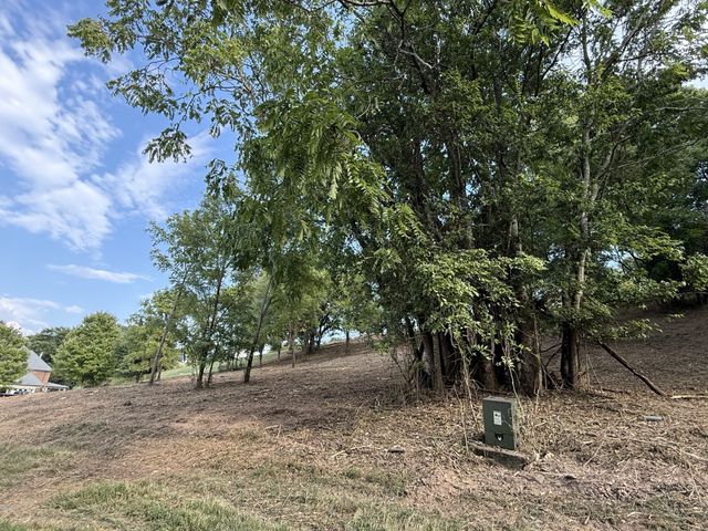 0 Deer Ridge Road, Columbia, TN 38401